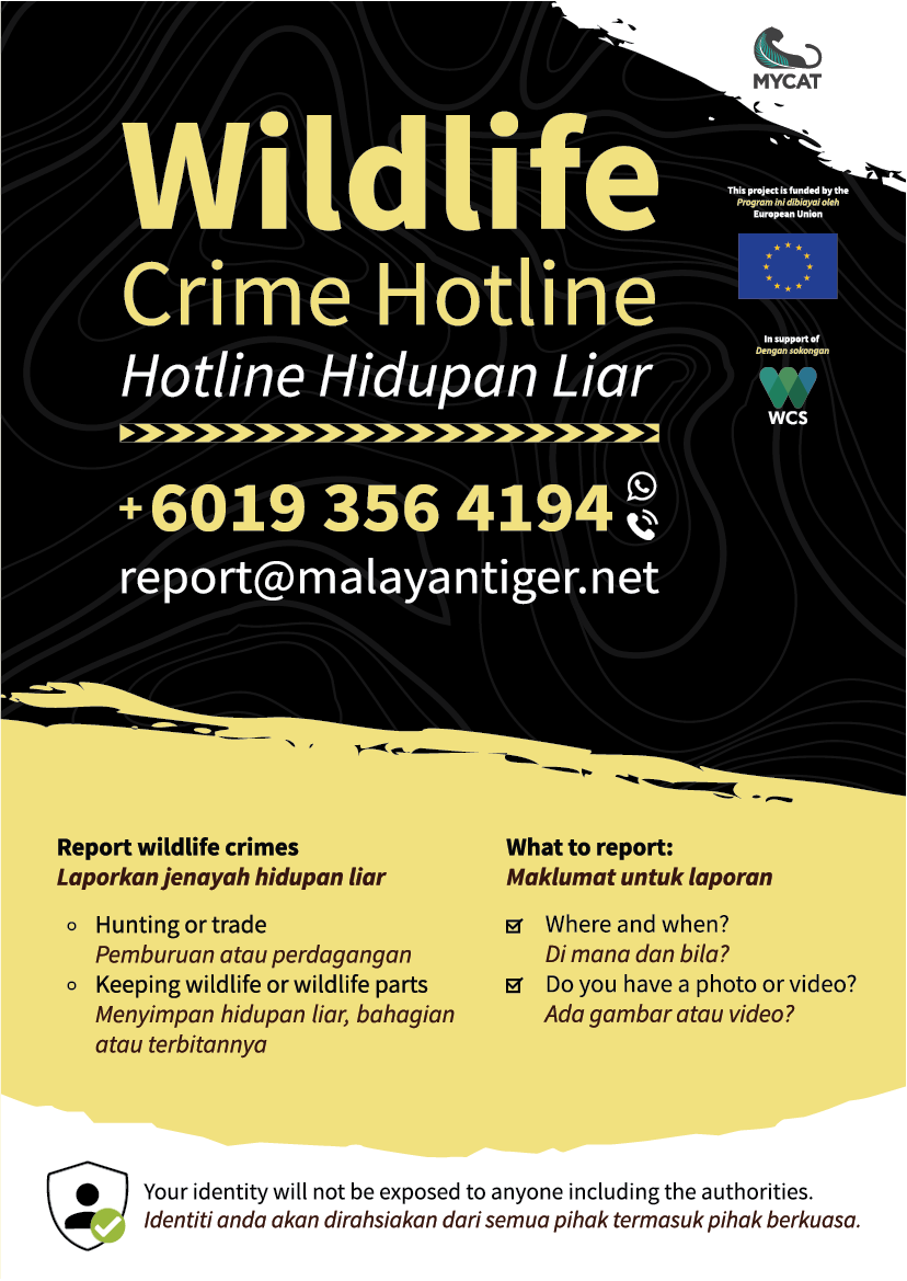 Hotline Flyer